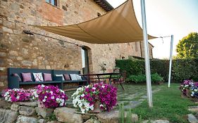 Canonica 43